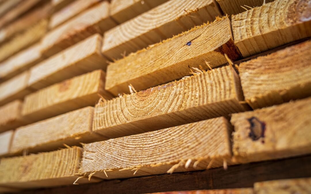 Softwood Lumber – Tariffs, turbulence, and new trade flows