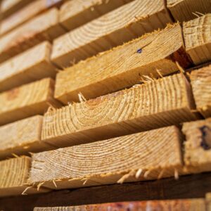 Report: Softwood lumber - Global outlook 2025-2030
