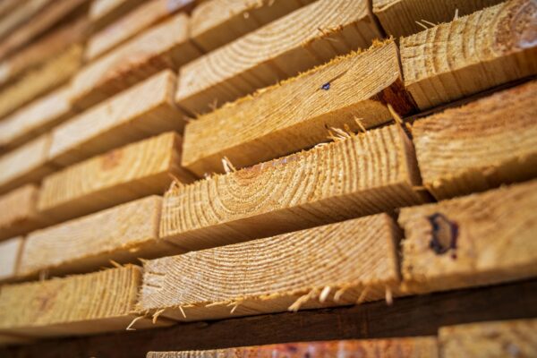 Report: Softwood lumber - Global outlook 2025-2030